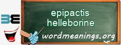 WordMeaning blackboard for epipactis helleborine
